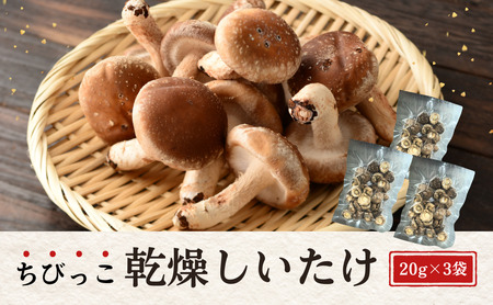 啪Y  ËvňĂт 20g×3
