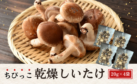 啪Y  ËvňĂт 20g×4