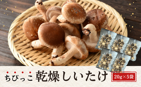 啪Y  ËvňĂт 20g×5