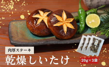 啪Y  ËvňĂXe[Lp 20g×3