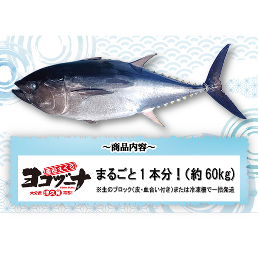豊後マグロ ヨコヅーナ 1本分セット | マグロ 津久見市