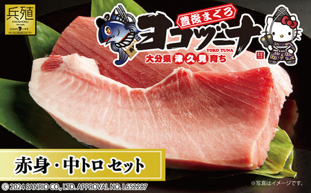 豊後まぐろ ヨコヅーナ 赤身400g 中トロ400g|中トロ 中トロ 中トロ 中トロ 中トロ