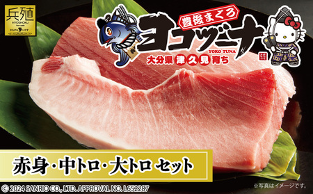 豊後まぐろ ヨコヅーナ 贅沢セット 赤身250g 中トロ500g 大トロ250g入りの豪華セット|中トロ 中トロ 中トロ 中トロ 中トロ