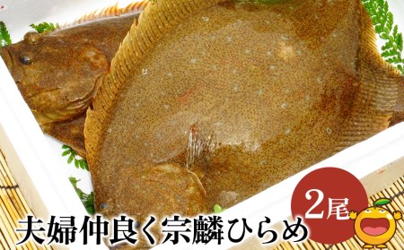 夫婦仲良く宗麟ひらめ ヒラメ 平目 鮃 刺身 刺し身 生魚 新鮮 大分県産 九州産 津久見市 国産[tsu002602]