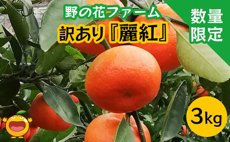 [先行予約・数量限定]野の花ファーム 訳あり 麗紅 3kg|みかん みかん みかん みかん みかん
