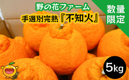 [先行予約・数量限定]野の花ファーム 不知火 5kg 手選別完熟 みかん ミカン オレンジ フルーツ 柑橘類 大分県産 九州産 津久見市 国産[tsu002803]