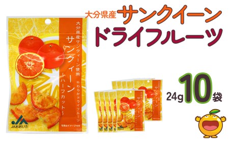 サンクイーンドライフルーツ(24g)×10袋[tsu0001023]
