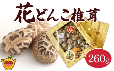 最高級 大分県産 花どんこ椎茸 260g 花どんこ 山のあわび 乾燥椎茸 乾燥 しいたけ 干し椎茸 乾し椎茸 乾燥野菜 大分県 津久見市 九州産野菜