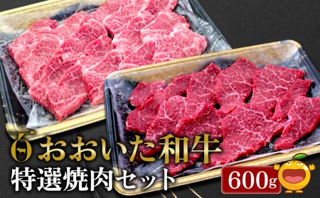 おおいた和牛 特選焼肉セット 600g(赤身焼肉300g カルビ300g)牛肉 和牛 ブランド牛 赤身肉 カルビ 焼き肉 焼肉 バーベキュー 大分県産 九州産 津久見市 国産