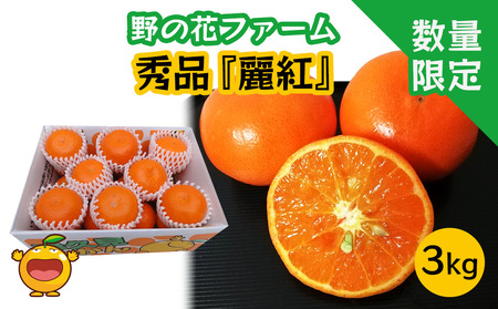 [先行予約・数量限定]野の花ファーム 秀品 麗紅 3kg|みかん みかん みかん みかん みかん