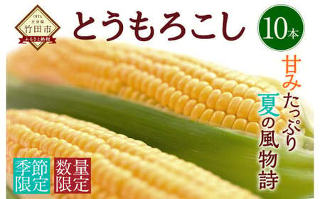 [2024年7月上旬発送開始]竹田市産 とうもろこし 10本 スイートコーン 野菜