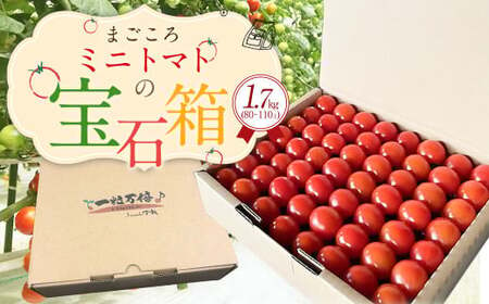 まごころ ミニトマト の宝石箱 1.7kg(約80〜110玉)サンチェリーピュア トマト[2024年7月上旬から11月下旬まで発送予定]