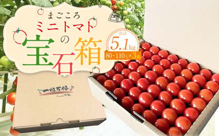 まごころ ミニトマト の宝石箱 1.7kg(約80〜110玉)×3箱 計5.1kg サンチェリーピュア トマト[2024年7月上旬から11月下旬まで発送予定]