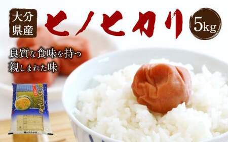 [令和6年産新米]大分県産 ヒノヒカリ 5kg [2024年10月下旬発送開始予定]