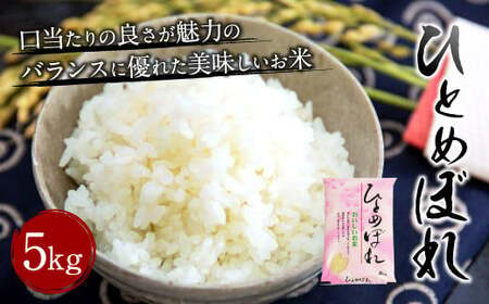 [令和6年産新米]大分県産 ひとめぼれ 5kg [2024年10月下旬発送開始予定]