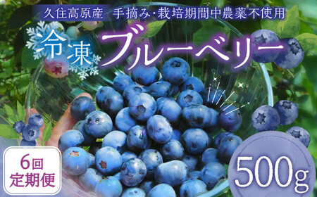 y6 ցzvZ Ⓚ u[x[ 500g v3kg ͔|Ԓ_sgp E y2025N7{菇Jn\z