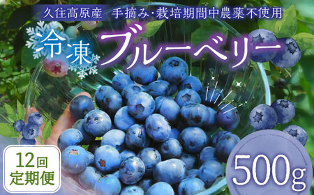 y12 ցzvZ Ⓚ u[x[ 500g v6kg ͔|Ԓ_sgp E y2025N7{菇Jn\z