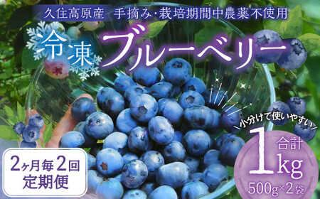 [2ヶ月毎2回 定期便]久住高原 手摘みブルーベリー 冷凍 500g 2袋 計2kg 小分け 栽培期間中農薬不使用