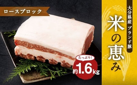 大分県産ブランド豚 奥豊後豚(米の恵み) ロースブロック 1.6kg (1.6kg×1) 豚肉