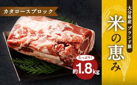 大分県産ブランド豚 奥豊後豚(米の恵み) カタロースブロック 1.8kg (1.8kg×1) 豚肉 肩ロース