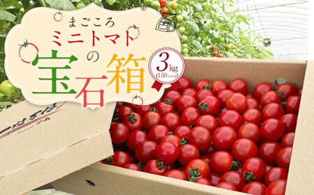 まごころ ミニトマト の 宝石箱 3.0kg (150玉前後) サンチェリーピュア[2025年7月上旬から11月下旬まで発送予定]