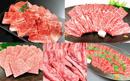 [5ヶ月定期便]毎月届く焼肉セット!おおいた和牛焼肉セット 計約4.2kg