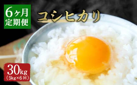 y6ցz啪Y RVqJ 5kg×6 v30kgy2025N10{Jnz