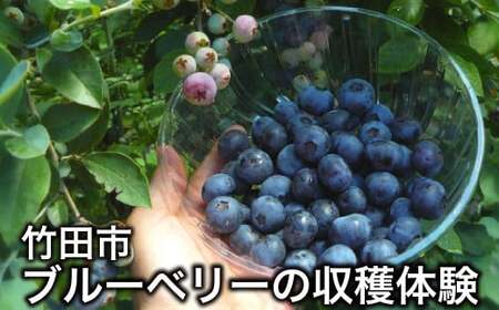 y1g5܂Łz `RLȋvZňu[x[̎ň` nu[x[̂yYtI y̌ԁFN6{`8{z