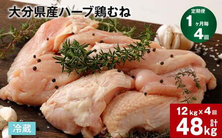 y14ցz啪Yn[u{ނ v48kg