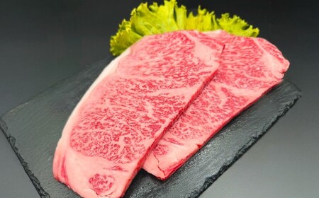 a T[CXe[L v6 Xe[L\[Xt