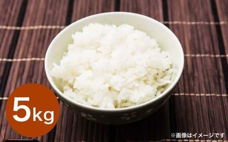 令和7年産 大分県産米 精米 5kg✕1袋 [2025年10月上旬より順次発送予定]