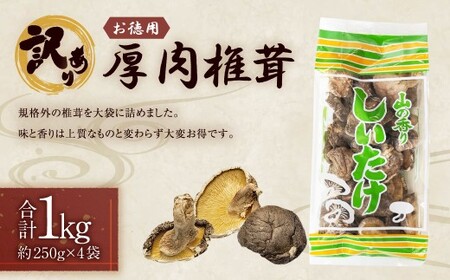 【訳あり】 お徳用 厚肉椎茸 約1000g （約250g×4袋） FPB39