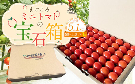 まごころ ミニトマト の宝石箱 1.7kg(約80〜110玉)×3箱 計5.1kg サンチェリーピュア トマト[2026年7月上旬から11月下旬まで発送予定]