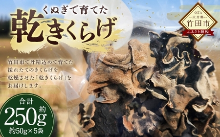 大分県産 くぬぎで育てた乾きくらげ 約50g × 5袋