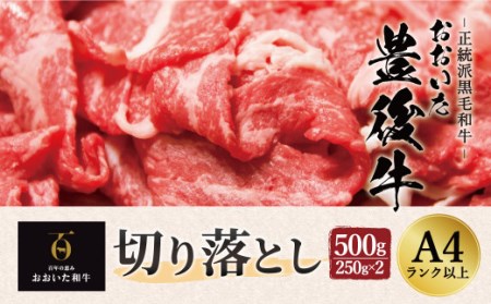 正統派黒毛和牛 おおいた豊後牛 切り落とし 500g 小分け