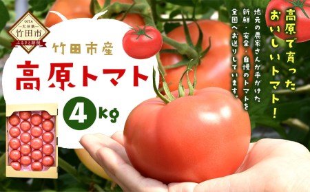 [2024年5月下旬より発送開始][竹田市産]高原トマト 4kg (約16〜24個) [ベジスタとまとちゃん]