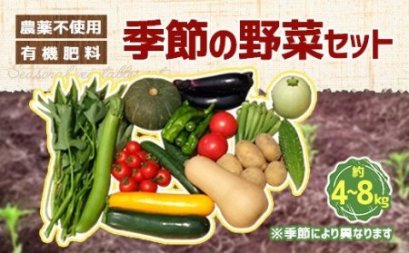 栽培期間中農薬不使用・有機肥料で育てた 季節の野菜セット 約4〜8kg