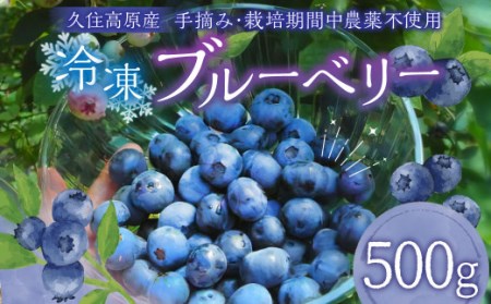 [お試しサイズ]久住高原 冷凍 ブルーベリー 500g 栽培期間中農薬不使用 手摘み 果物 フルーツ