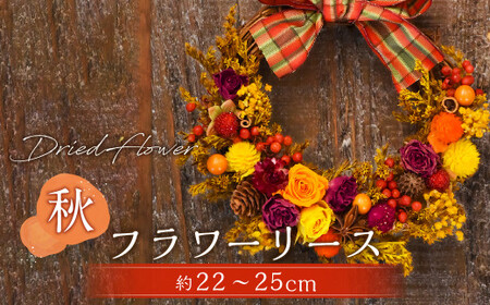 [ドライフラワー]秋のフラワーリース 直径:約22〜25cm