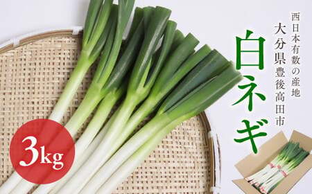 [先行予約]西日本有数の産地で育った白ネギ3kg|ねぎ ねぎ ねぎ ねぎ ねぎ