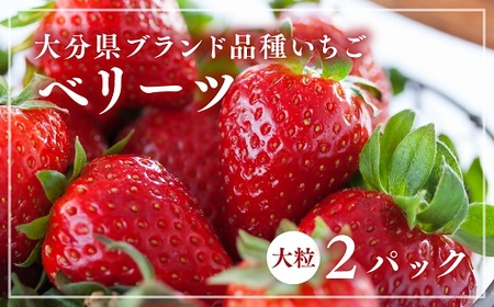 0B3-08 [先行予約]大分県ブランドいちご「ベリーツ」大粒(280g×2パック)
