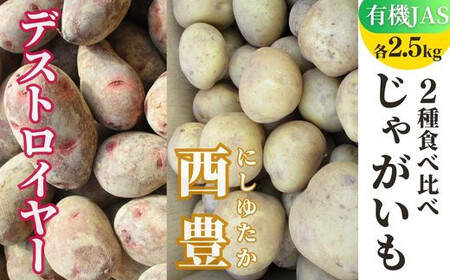 茨城県産‼︎馬鈴薯 じゃがいも デストロイヤー グランドペチカ20kg - 野菜