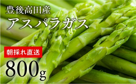 グリーンアスパラガス(800g)[5月中旬~6月配送] アスパラ