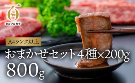  片桐さんの「おおいた和牛」おまかせ焼肉セット(計800g)