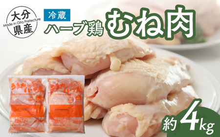 (Xs[h)啪Yn[u{  4kg |n[u{