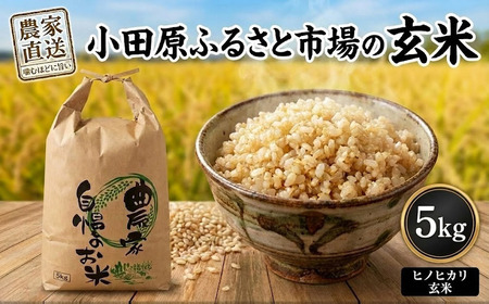 小田原 ふるさと市場の 玄米 5kg | 米 豊後高田市