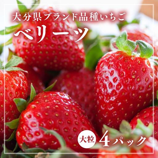 [先行予約]いちご「ベリーツ」大粒(280g×4パック)| いちご