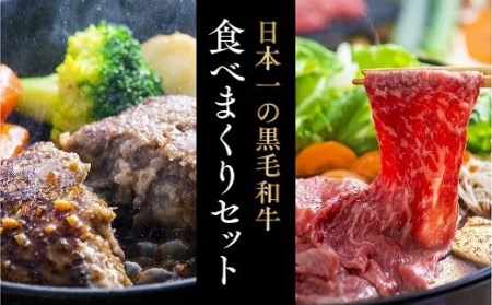 豊後牛ハンバーグ&大分県産黒毛和牛すきやき肉(500g)セット