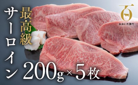 uavT[CXe[L(200g×5)|L㍂cs T[C