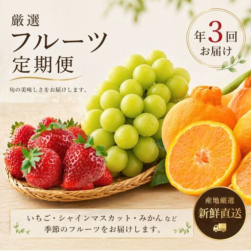 [3回定期便]旬のフルーツ食べ比べ(シャインマスカット・イチゴ・不知火)